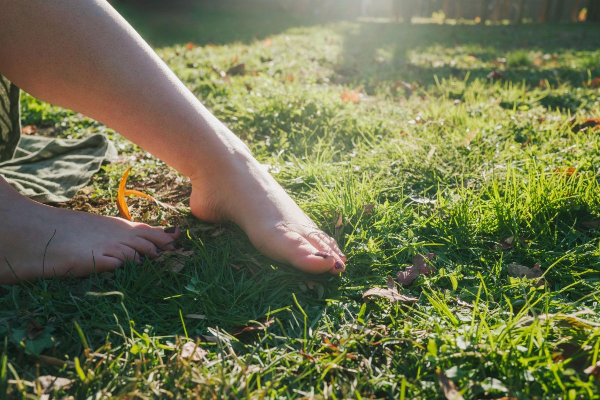 Close-up of bare feet resting on sunlit grass with sandals set to one side