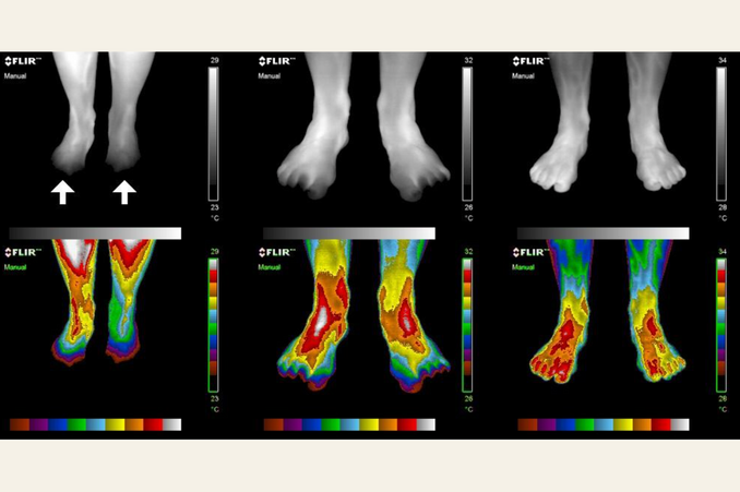 <font size="19">Before & After Grounding</font>