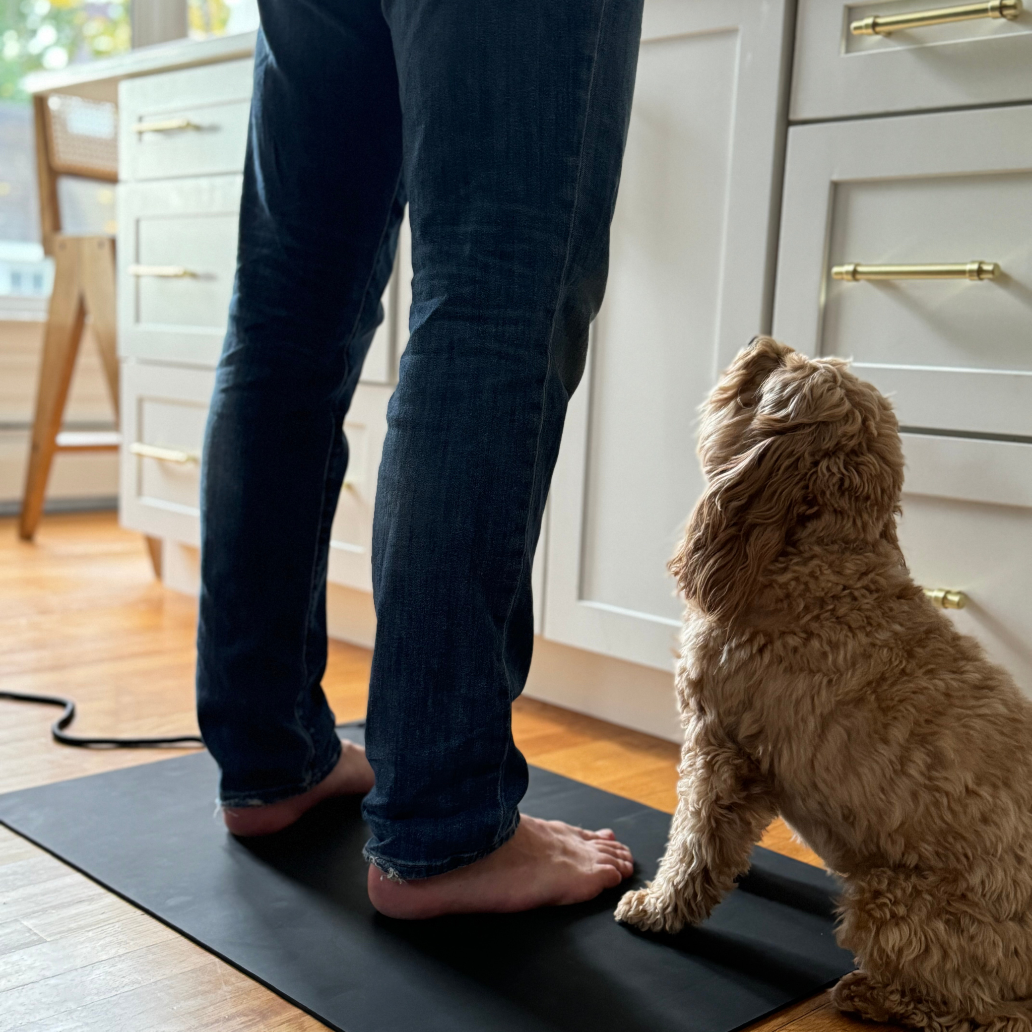 Earthing Floor Mat
