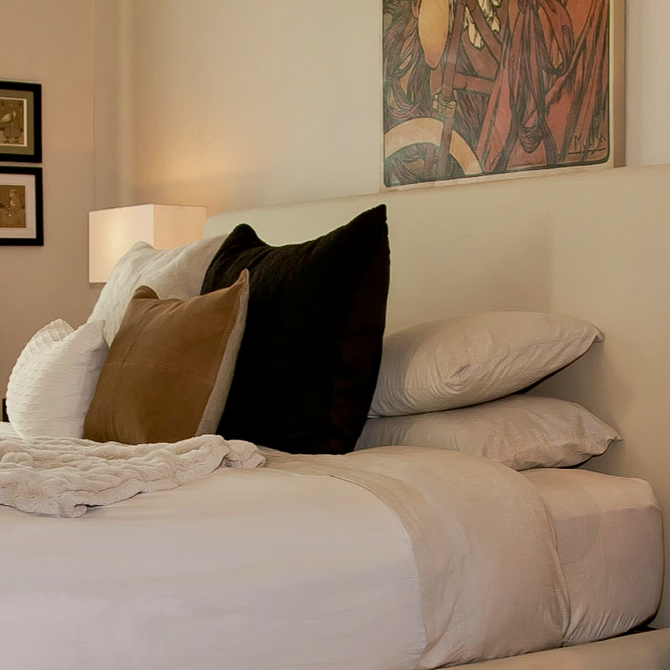 Earthing Sleep System