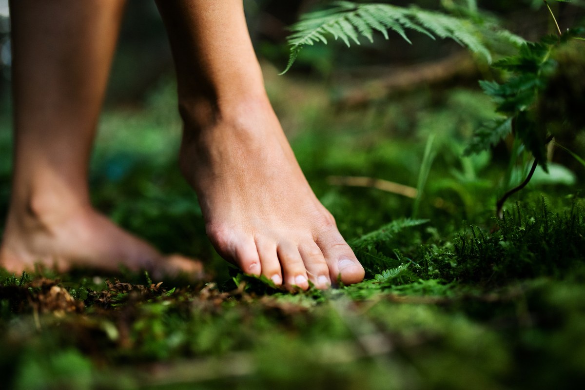 Bare feet standing on a mossy forest floor surrounded by ferns