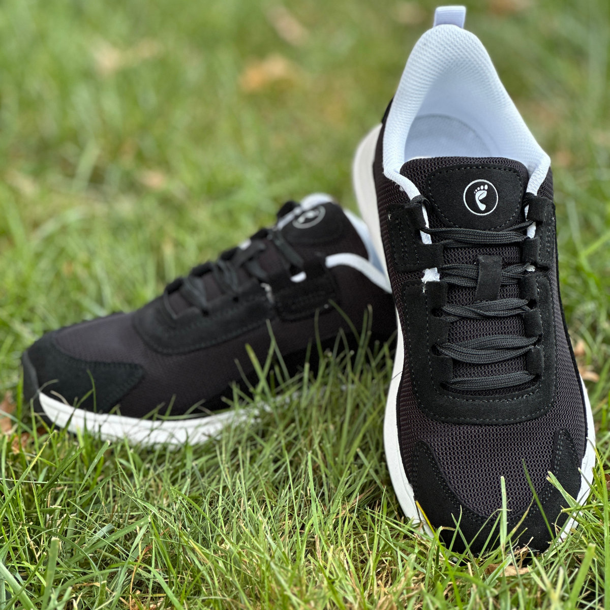 Sedona Men's Shoe Earthing Grounded Sneaker