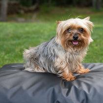  
                                    Earthing Pet Bed Cover Kit 
                                
                                