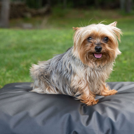 Earthing Pet Bed Cover Kit
