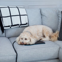  
                                    Dogs and cats love to get grounded on the Earthing Chair Mat. (4609255604337) 
                                
                                