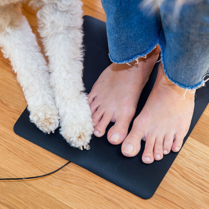  
                                        Share your Earthing Chair Mat with your pets. It can be used by sitting on it or by putting your feet on it. (4609255604337) 
                                    
                                    